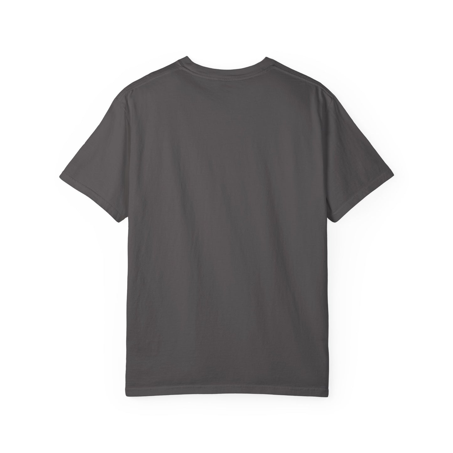 Custom Dog/Cat's hair T-shirt