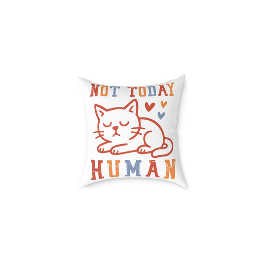 Sleeping Cat  Pillow